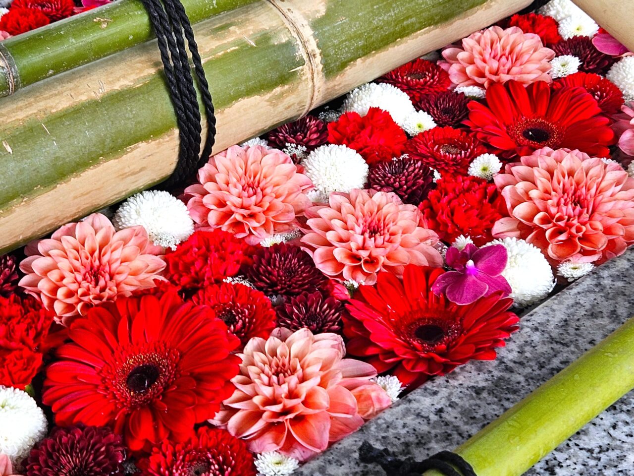 深川花手水2026早春