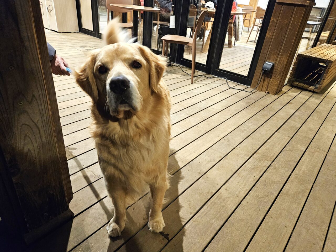 花と光のムーブメントが木場公園で開催