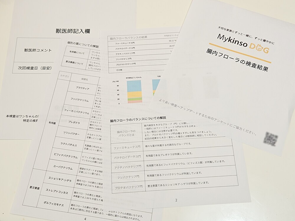 コジマ動物病院でペットの腸内検査ができます