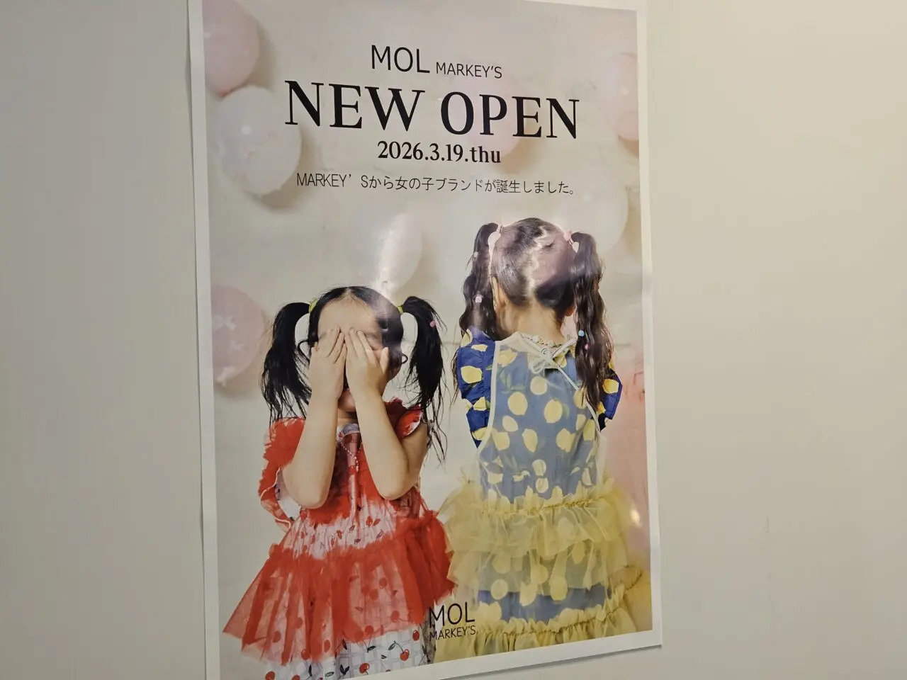 MOL MARKEY'Sがららぽーと豊洲にオープン予定