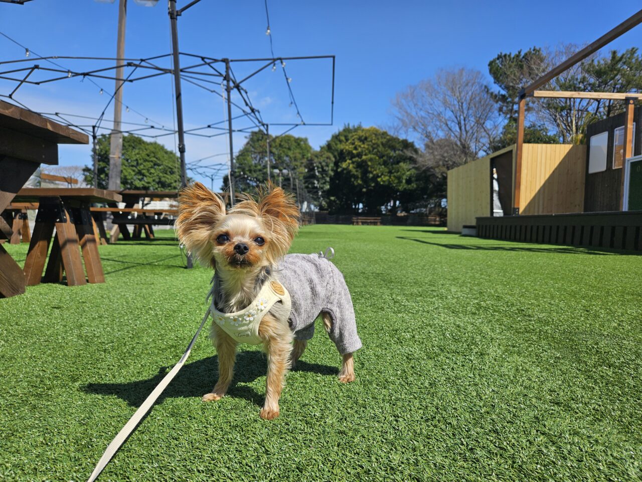 東京夢の島マリーナ アウトドアスクウェアで花見BBQ