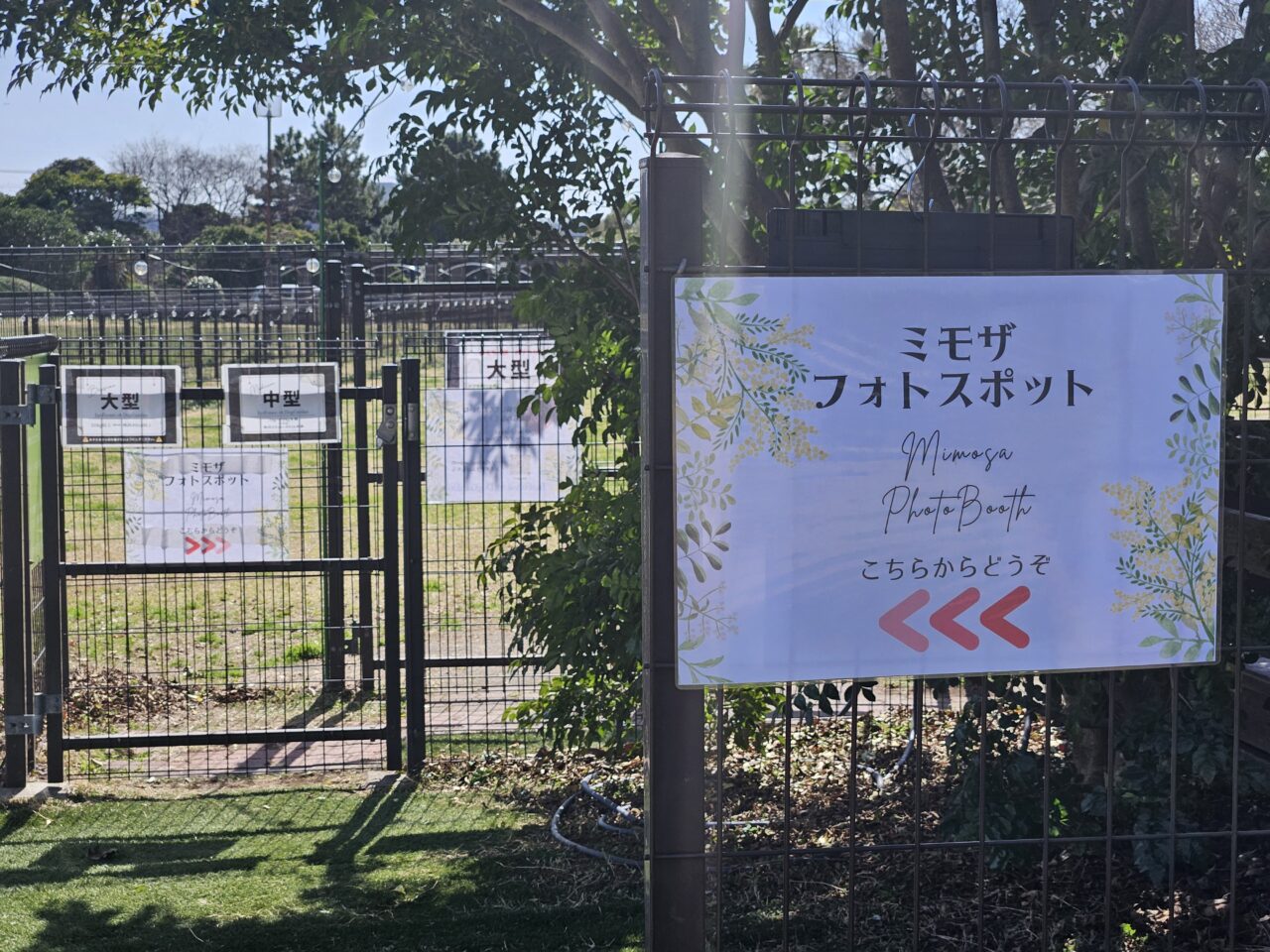 イーノの森Dog Gardenのミモザ