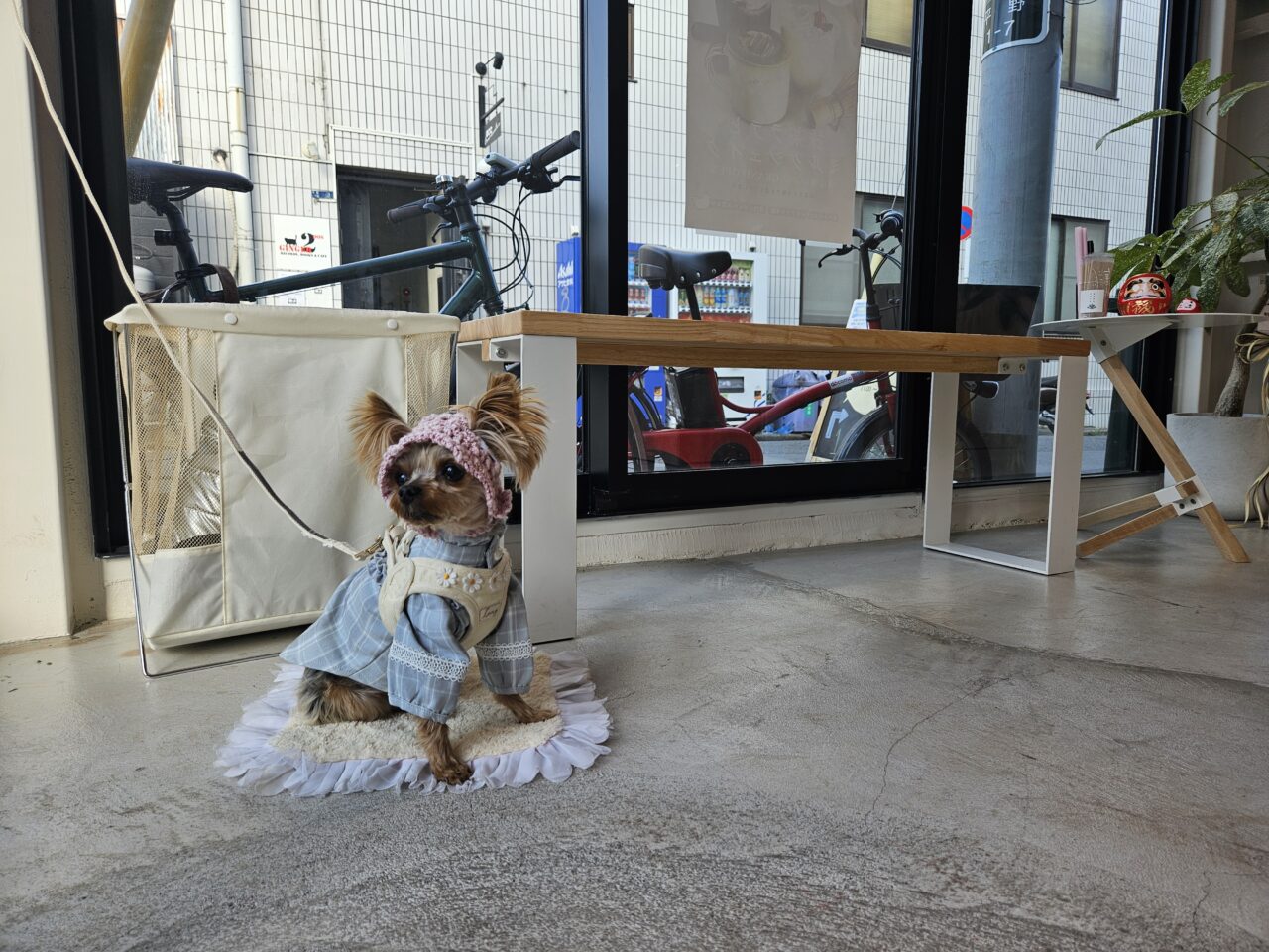 よりみちスタンドの抹茶ラテ