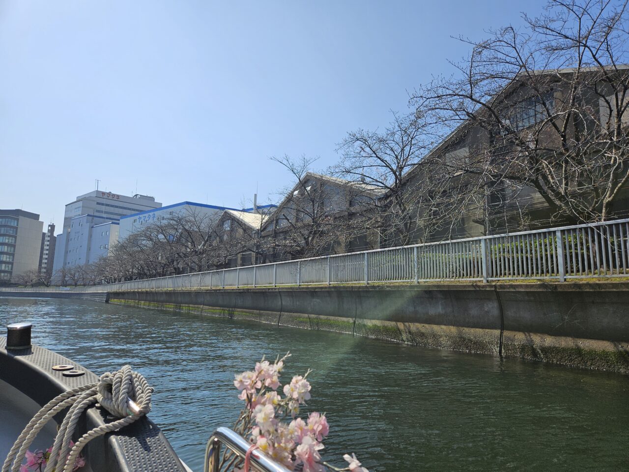 お江戸深川さくらまつりのお花見クルーズ