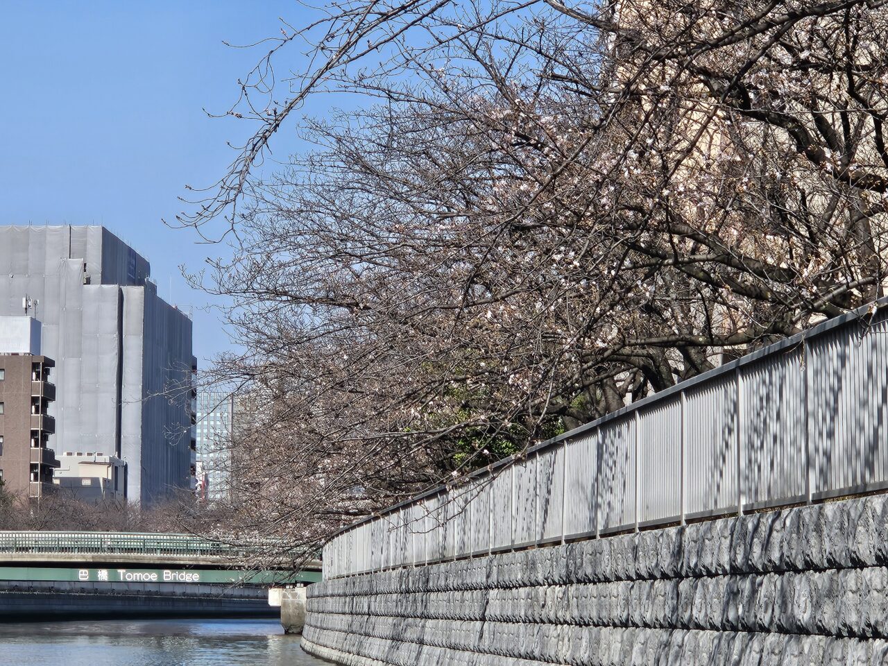 お江戸深川さくらまつりのお花見クルーズ