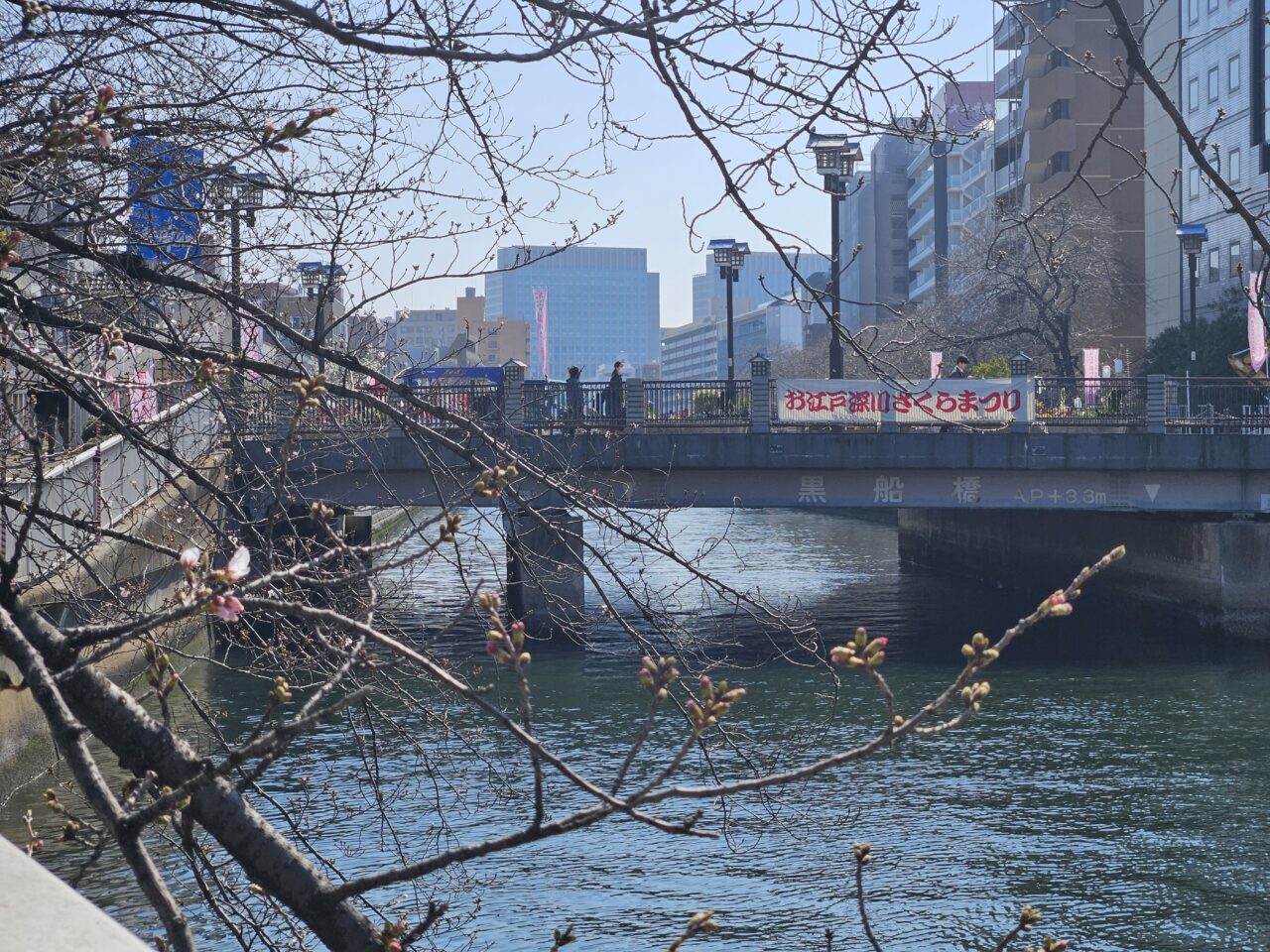 お江戸深川さくらまつりのお花見クルーズ