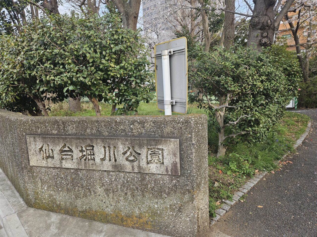 江東区の桜2026年度