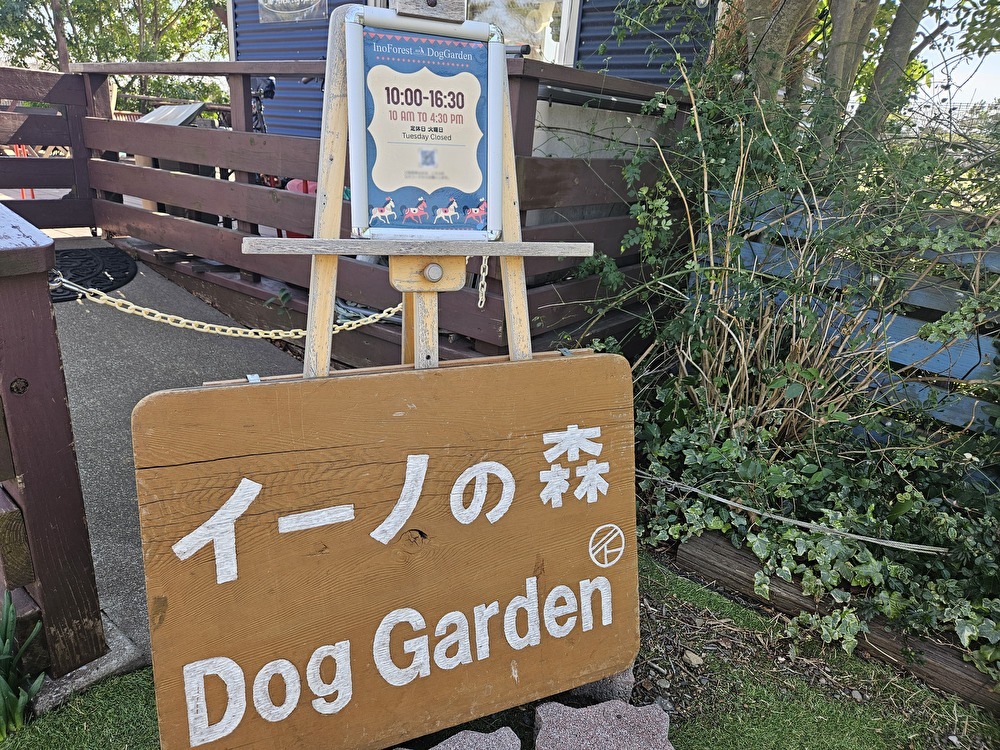 イーノの森Dog Gardenのミモザ