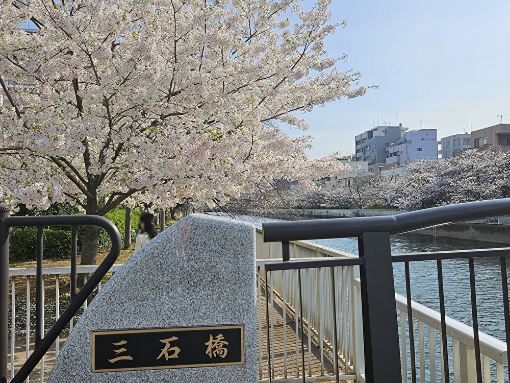 江東区の桜2026年度