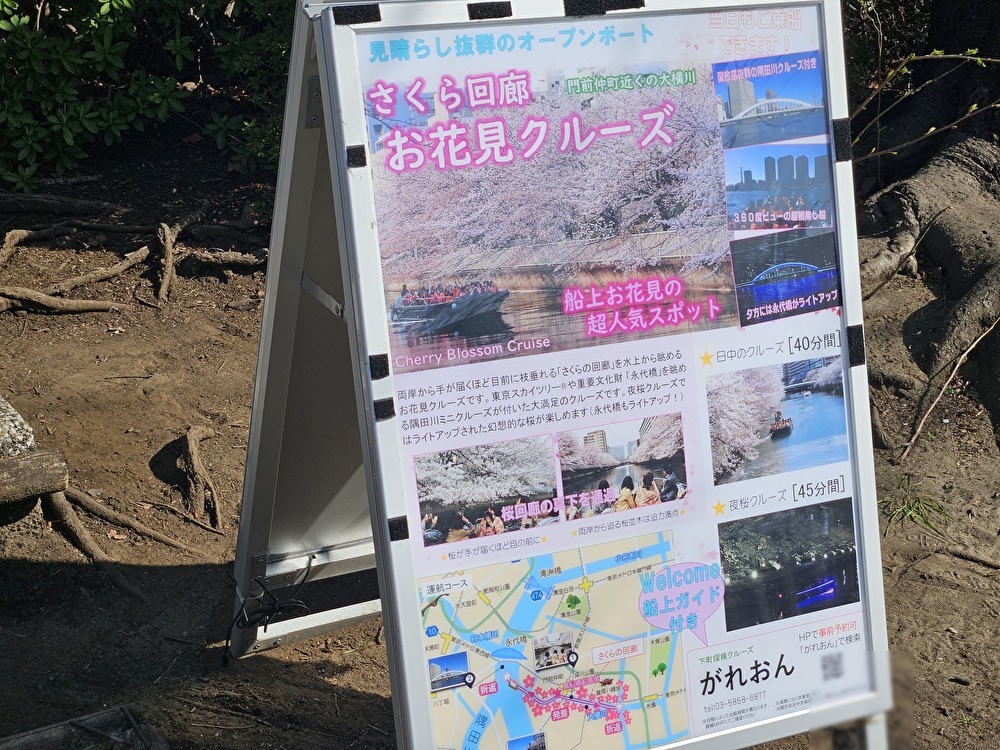 お江戸深川さくらまつりのお花見クルーズ