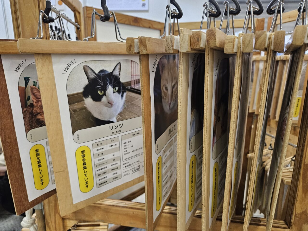 東京ビッグサイトでインターペット東京が開催中