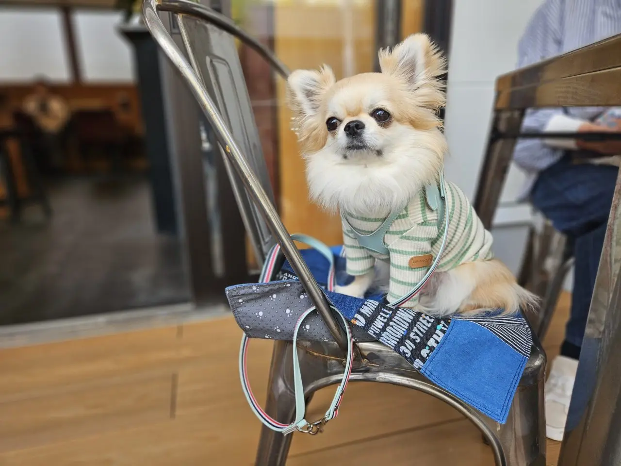 北出食堂2が潮見にオープン