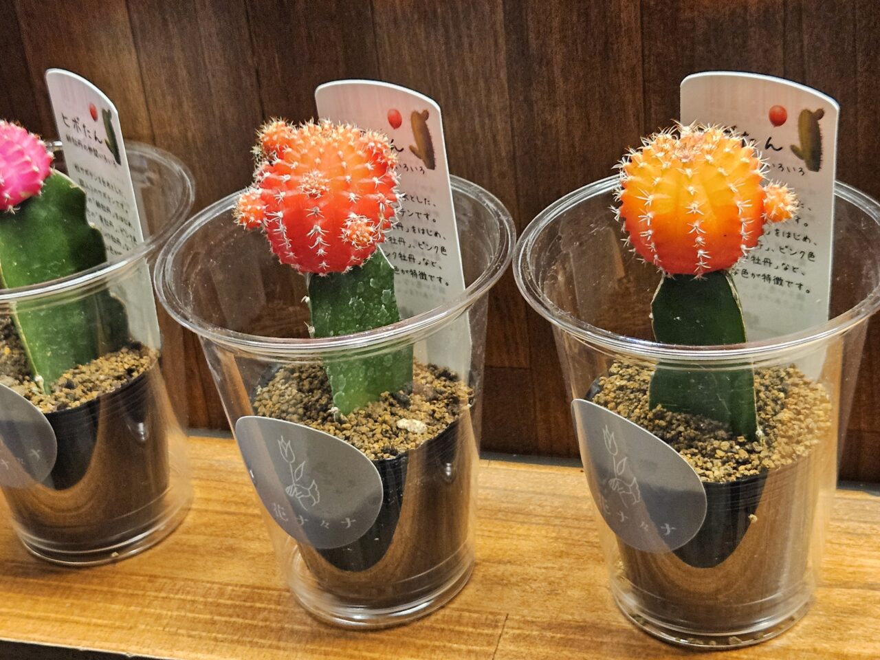 花ナ々ナ 門前仲町のフレンチトースト