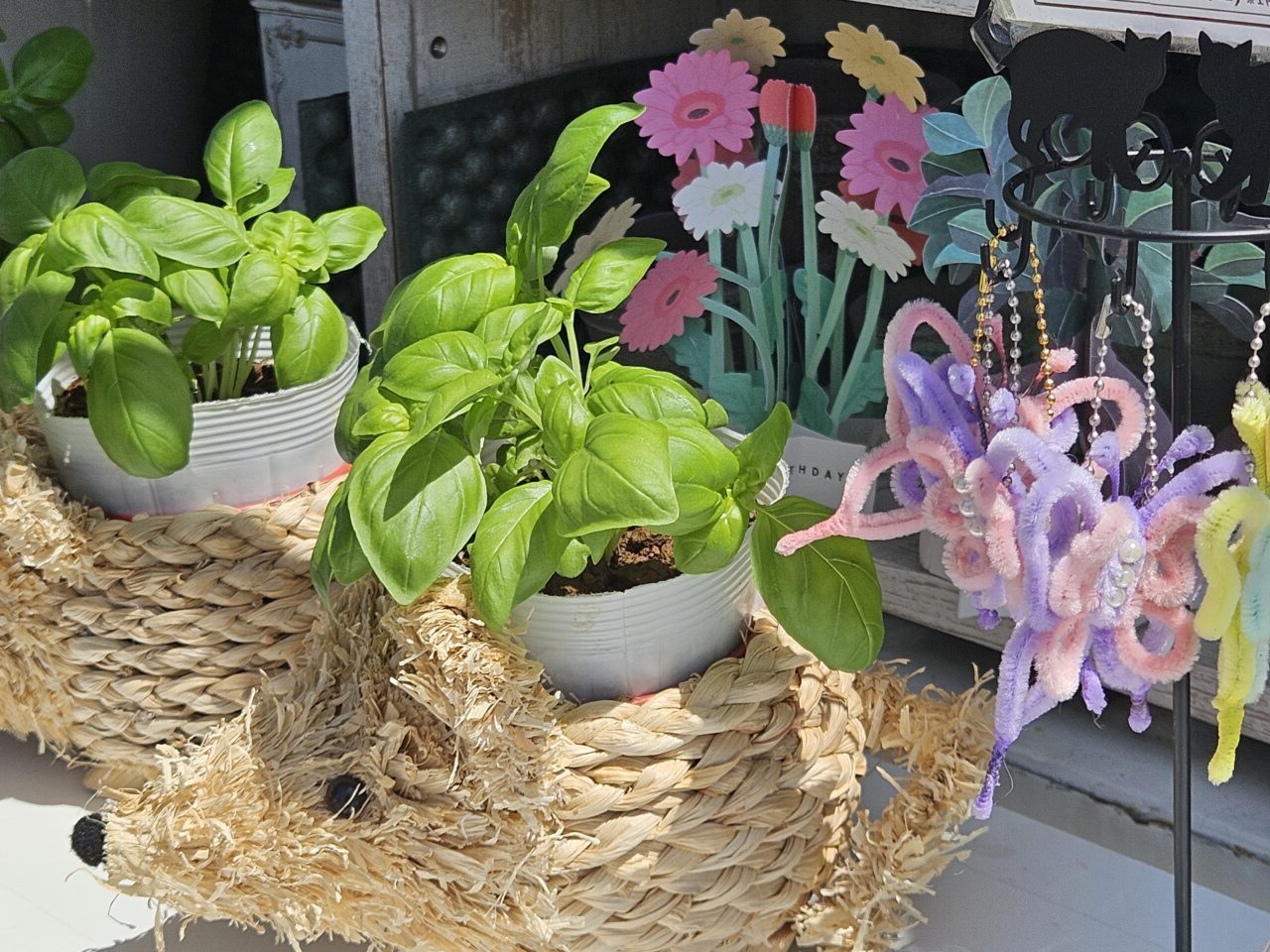 花のショップカー「ハミング ポット」