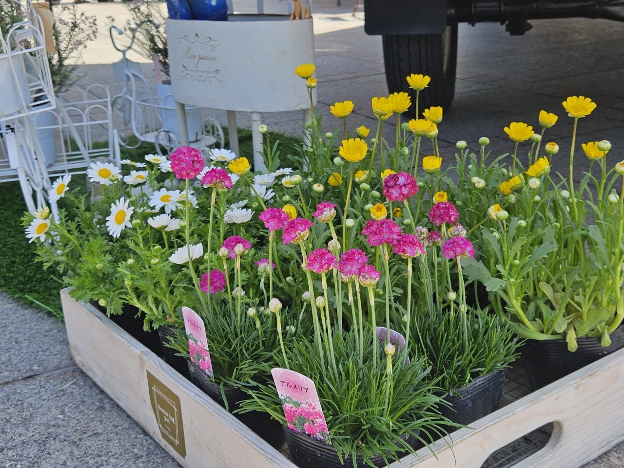 花のショップカー「ハミング ポット」