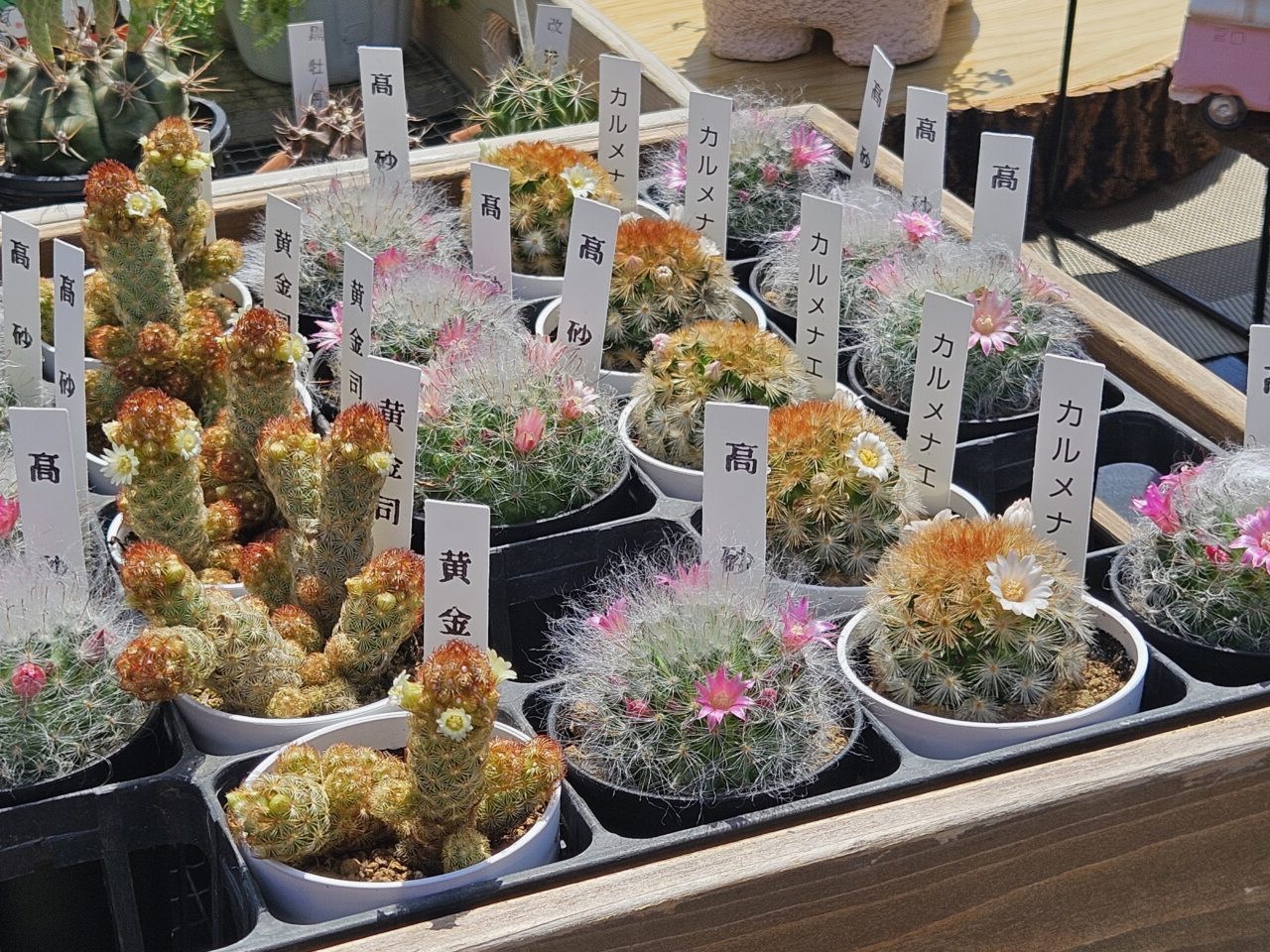 花のショップカー「ハミング ポット」