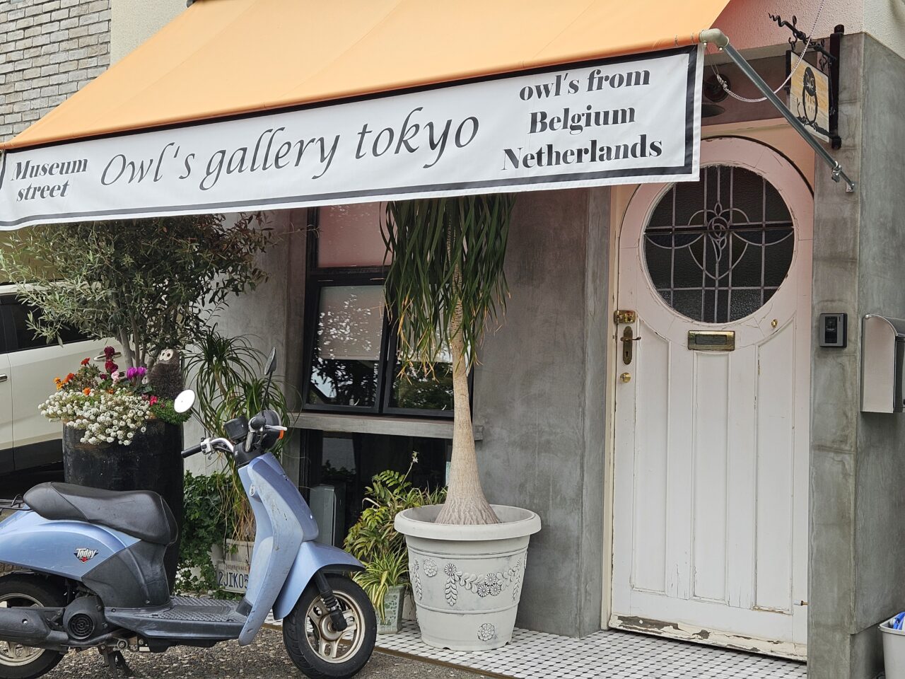 フクロウギャラリー TOKYOが閉店予定