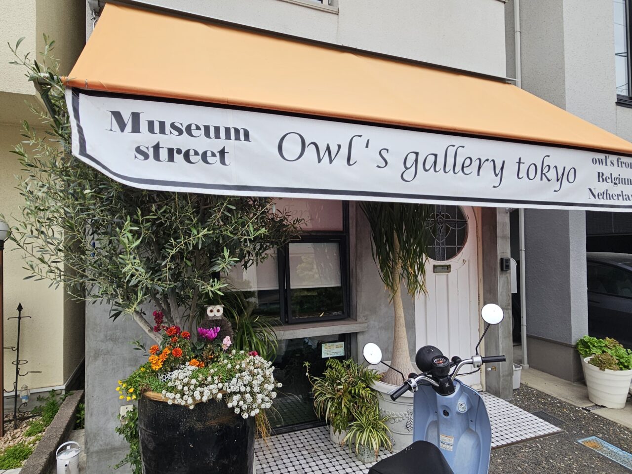 フクロウギャラリー TOKYOが閉店予定