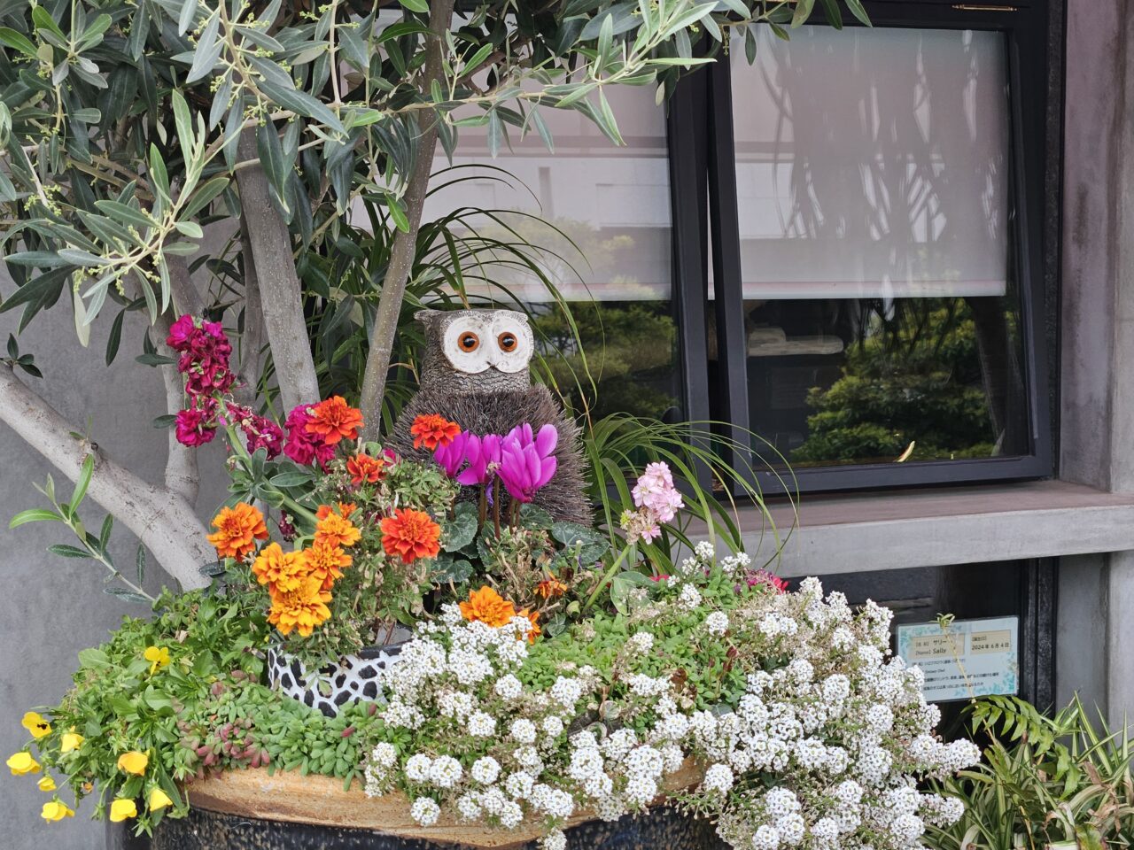 フクロウギャラリー TOKYOが閉店予定