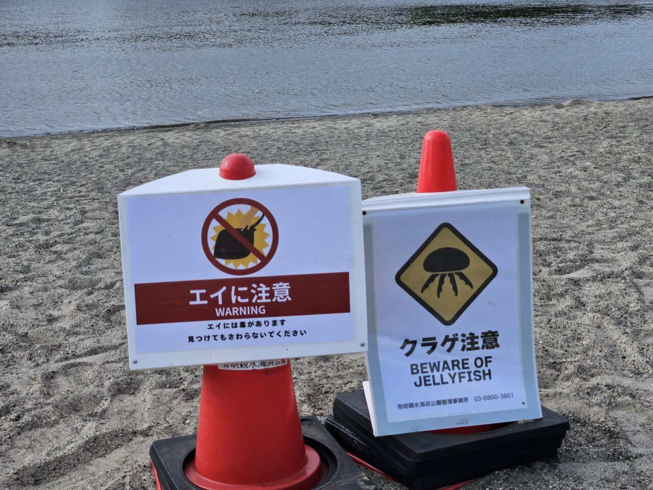 有明親水海浜公園の西入江砂浜がオープン