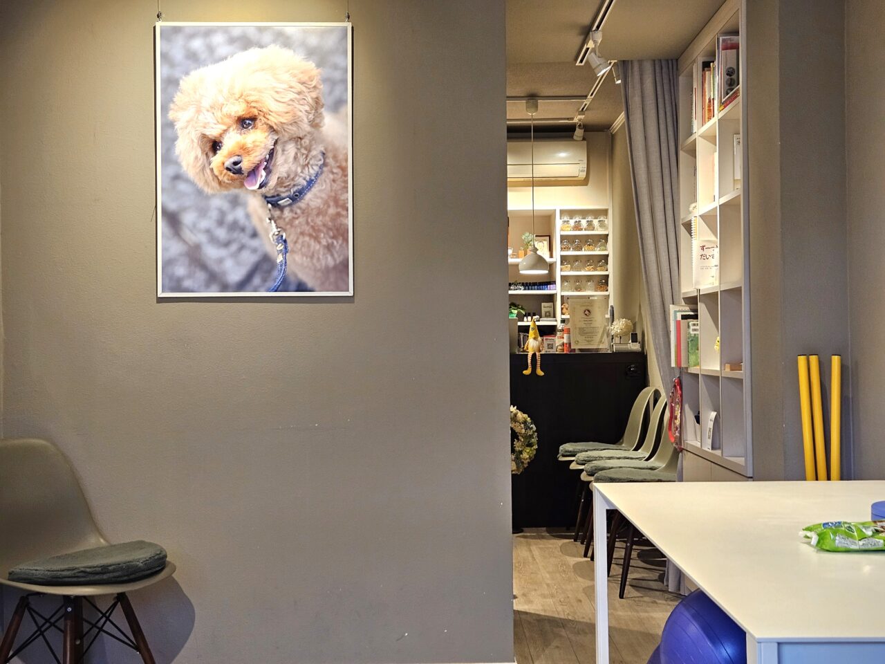 モンメゾン 門前仲町でドッグケア