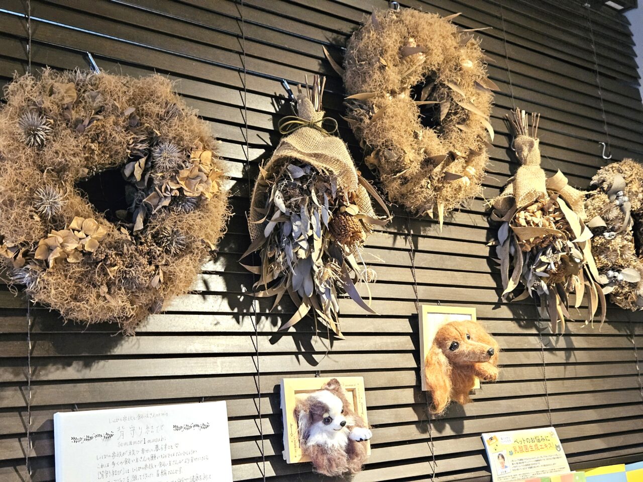 モンメゾン 門前仲町でドッグケア