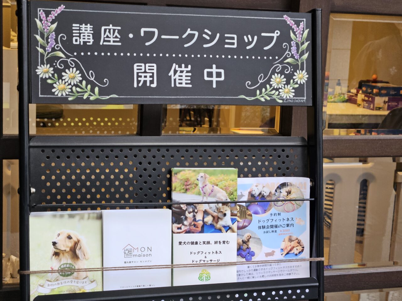 モンメゾン 門前仲町でドッグケア