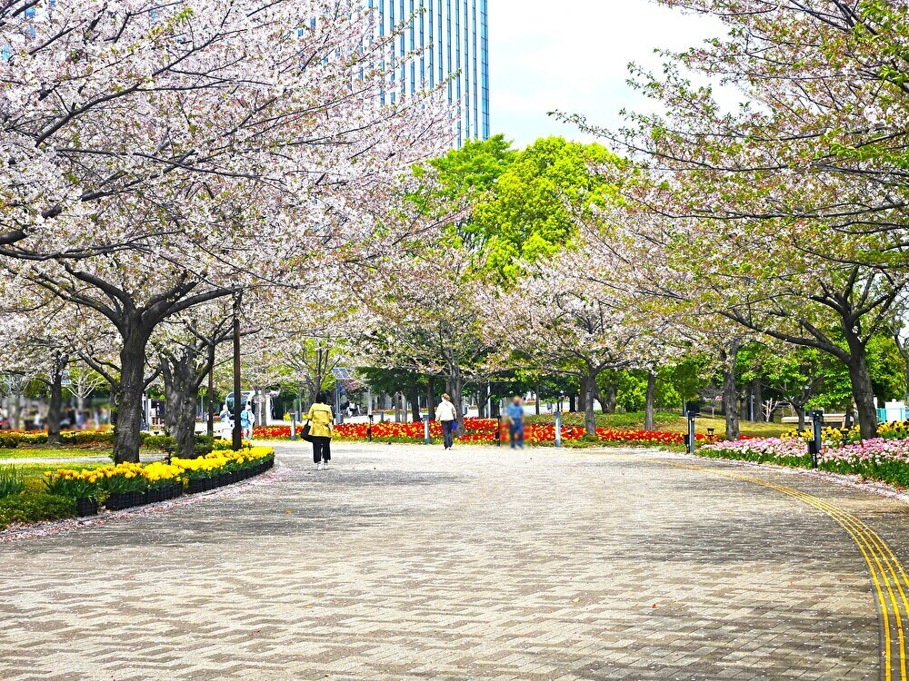 臨海副都心チューリップフェスティバル2026