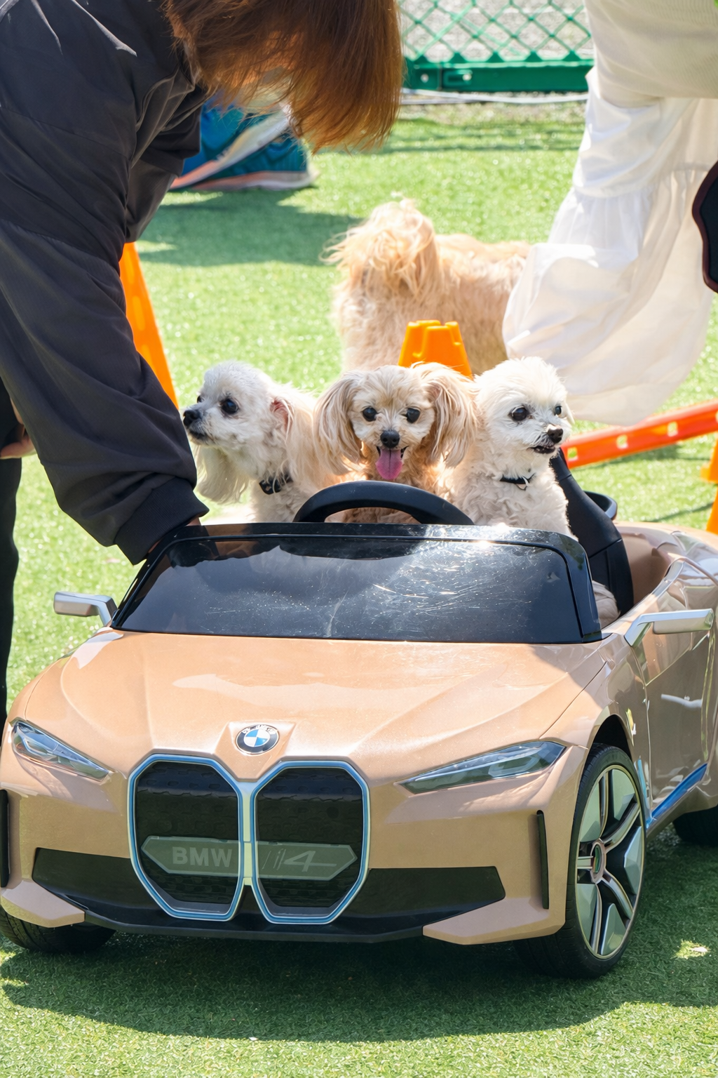 「肉フェス® 2026 TOKYO JAPAN Premium20」が開催