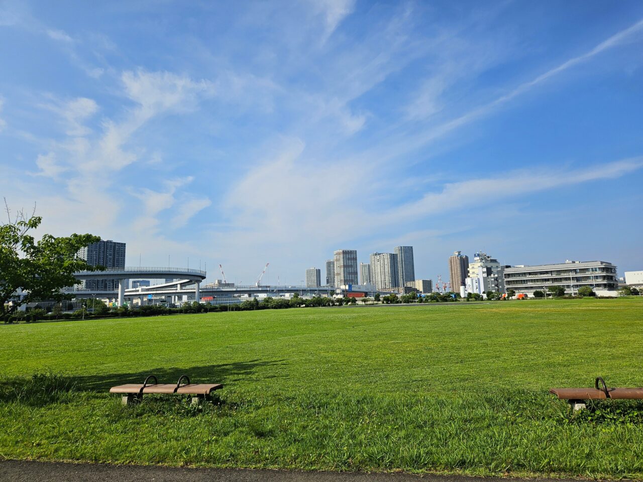 東京臨海広域防災公園　草地広場でイベント開催予定