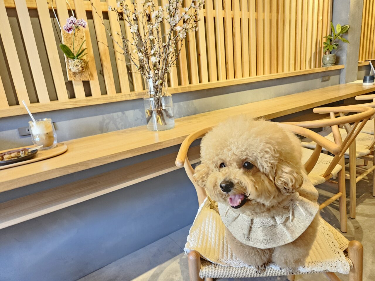 清澄白河の和カフェ「七福 植物と珈琲」