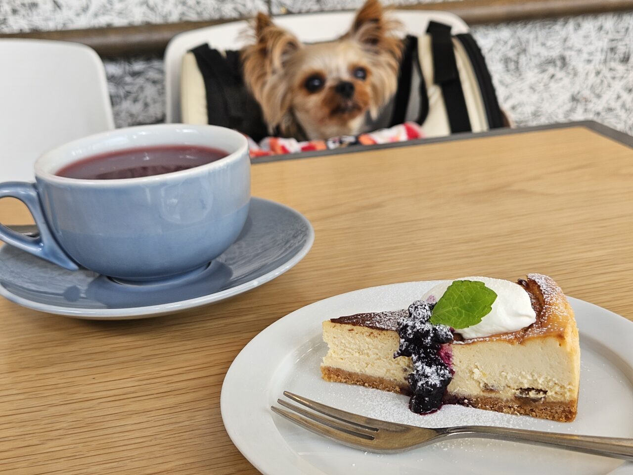 カフェクールが閉店予定