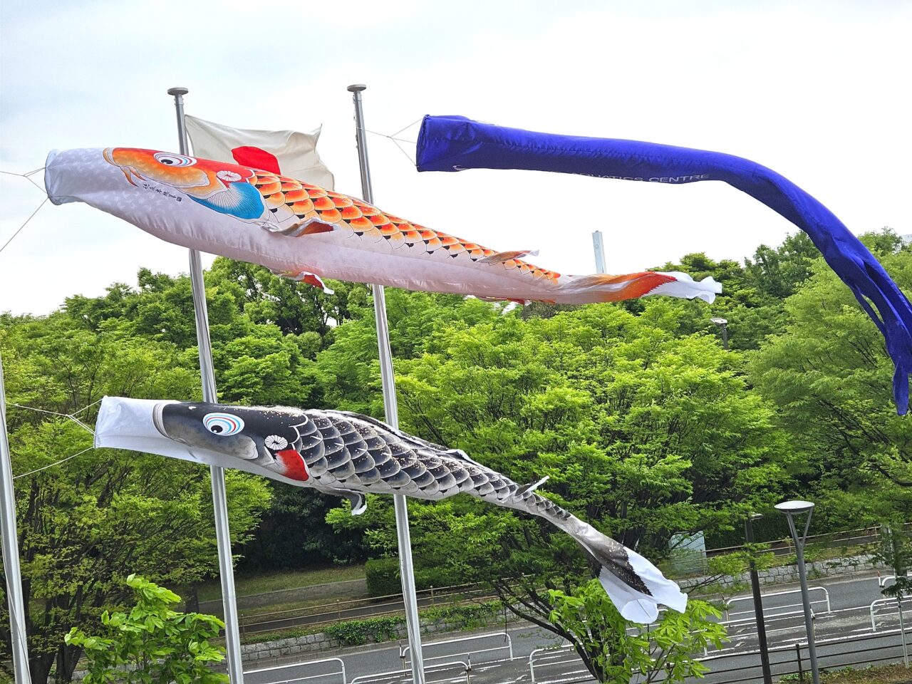 東京アクアティクスセンターでこいのぼり掲揚