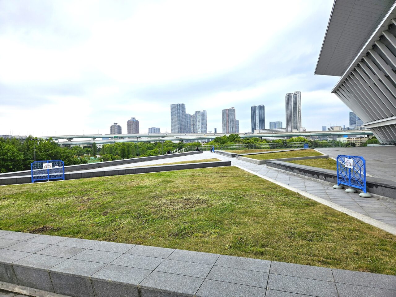東京アクアティクスセンターでこいのぼり掲揚