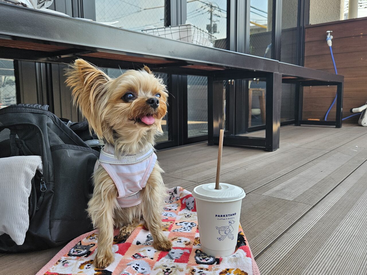 PARKSTAND Coffee & Bakeryがオープン