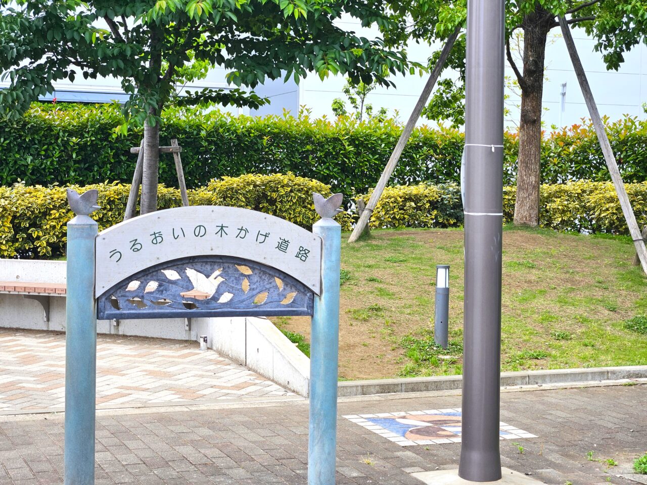 えだまちマルシェが開催予定