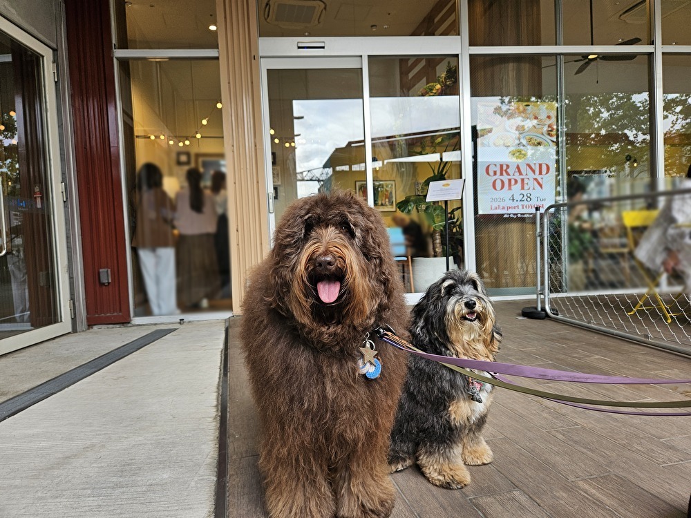Eggs ’n Things ららぽーと豊洲店がオープン
