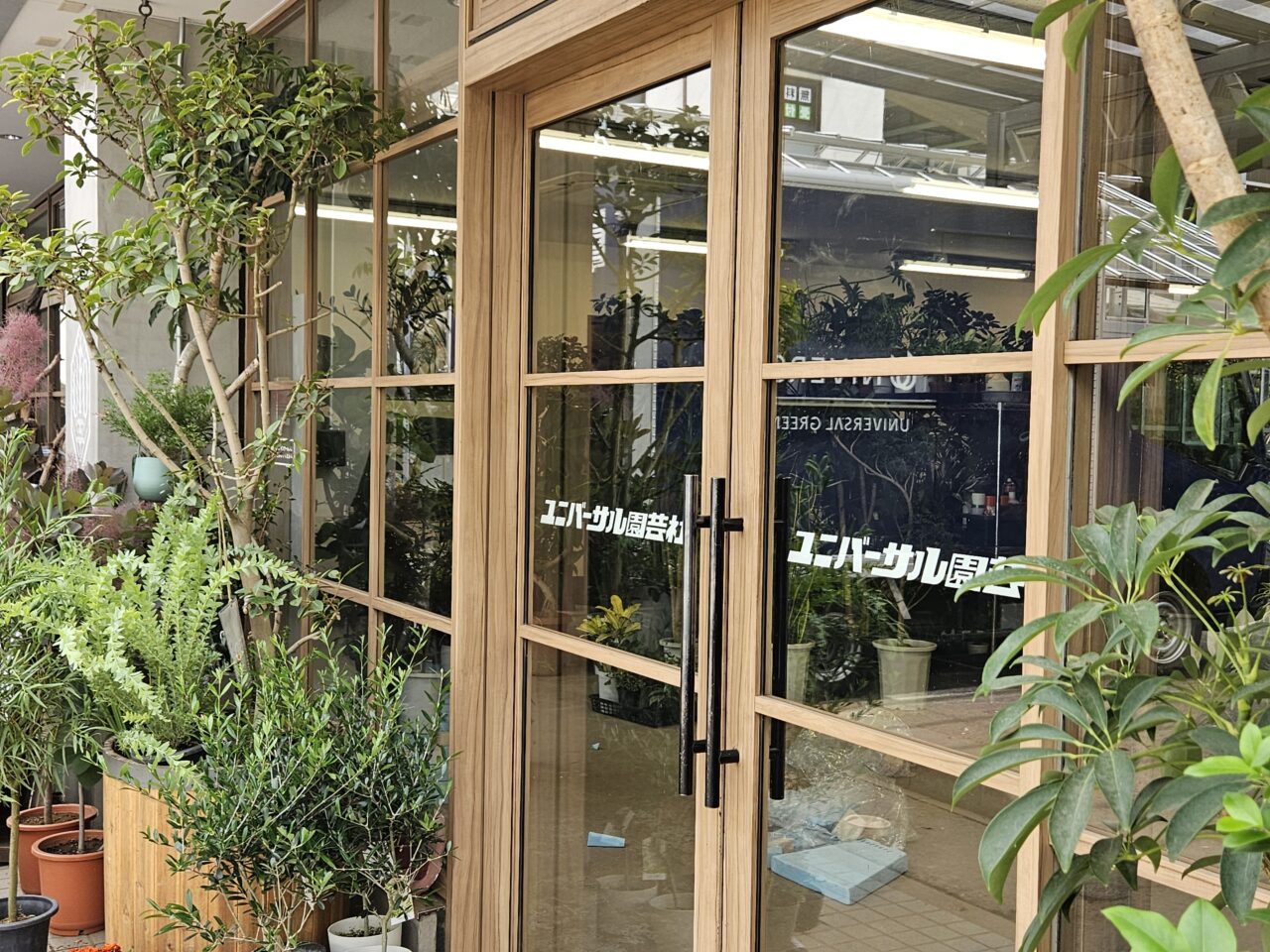 ユニバーサル園芸社東京中央支店が植木市を開催