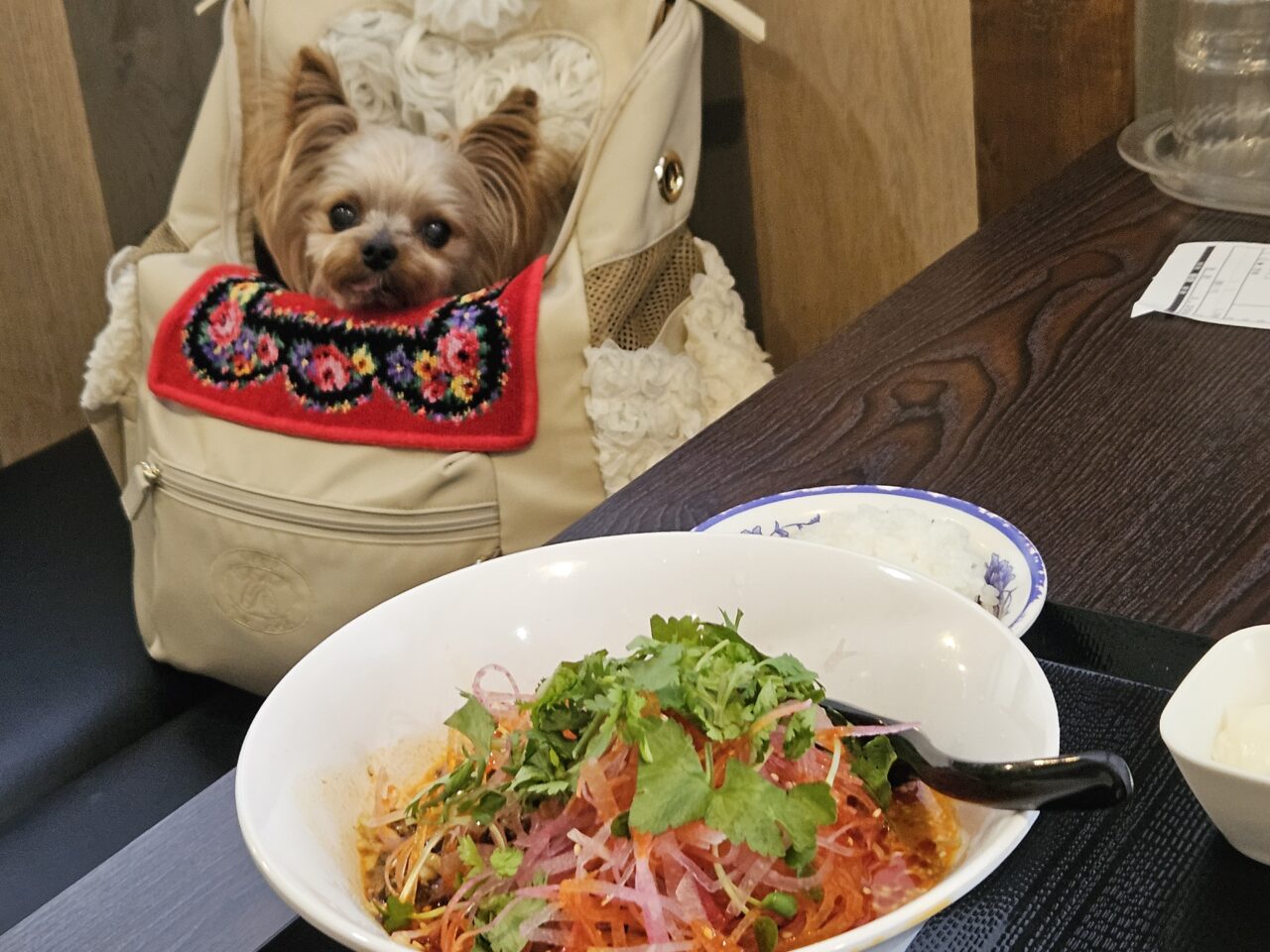 麻辣先生　木場店の「麻辣先生特製　夏限定・冷やし担々麺」
