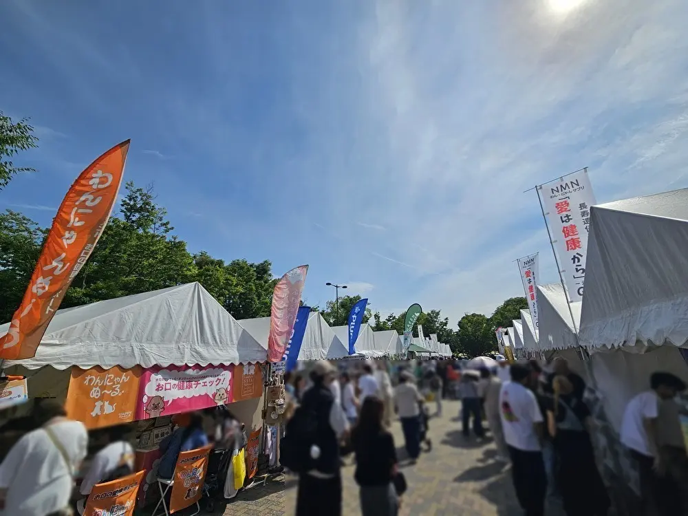ジャパンわんこフェスタ2026 in お台場が開催中