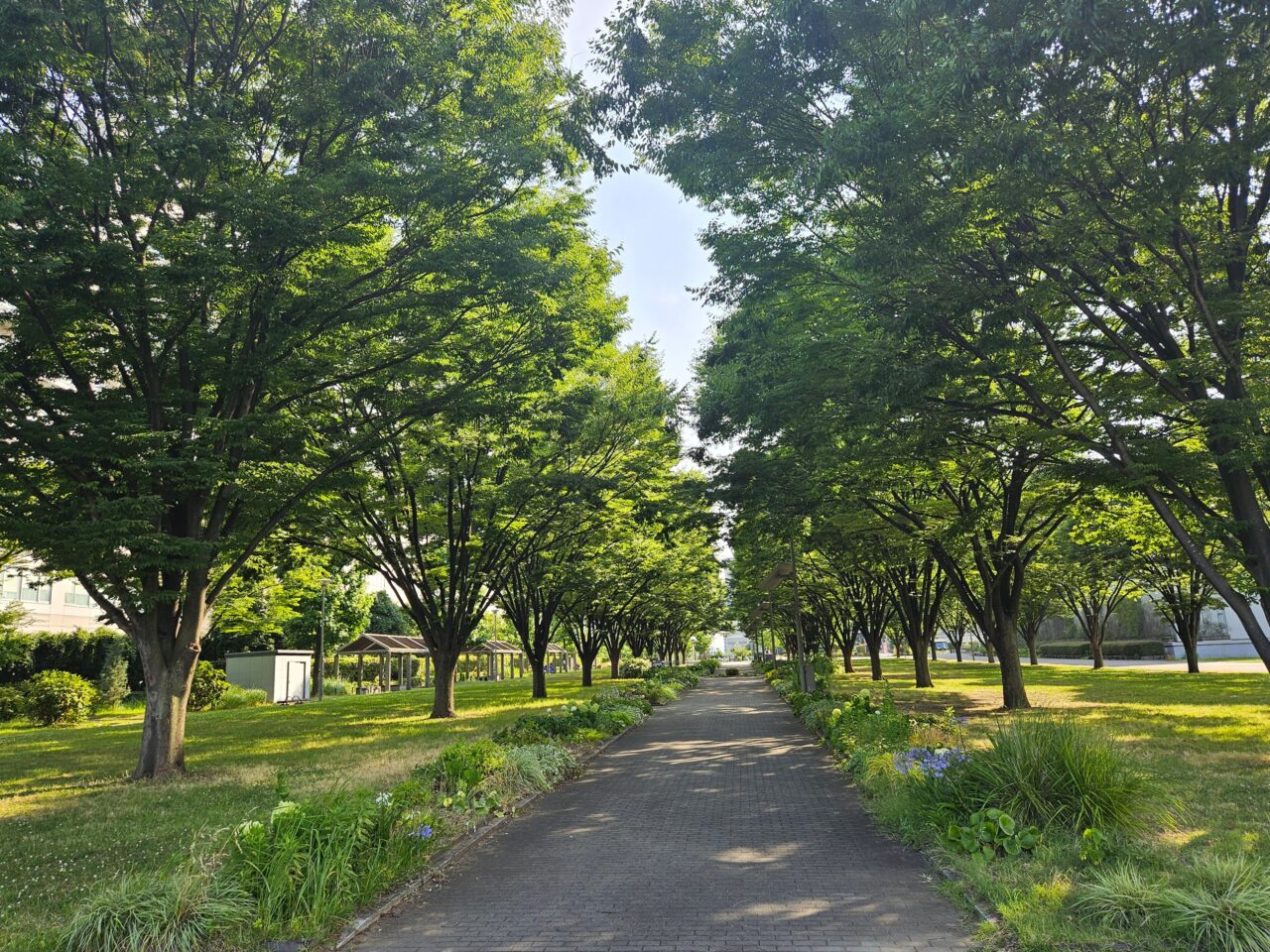 第2回「江東区ムービーアワード」