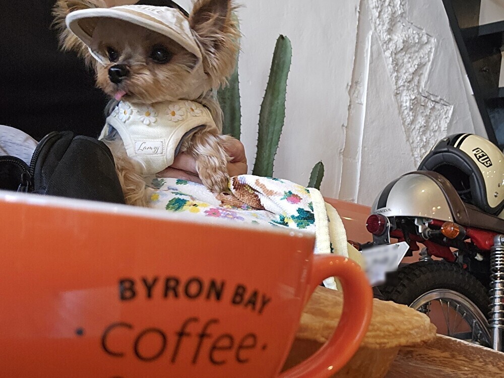 バイロンベイコーヒー清澄白河店でカフェ