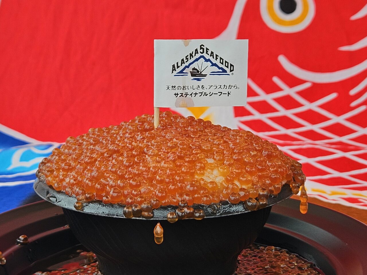 魚ジャパンフェス2026 in お台場が開催予定