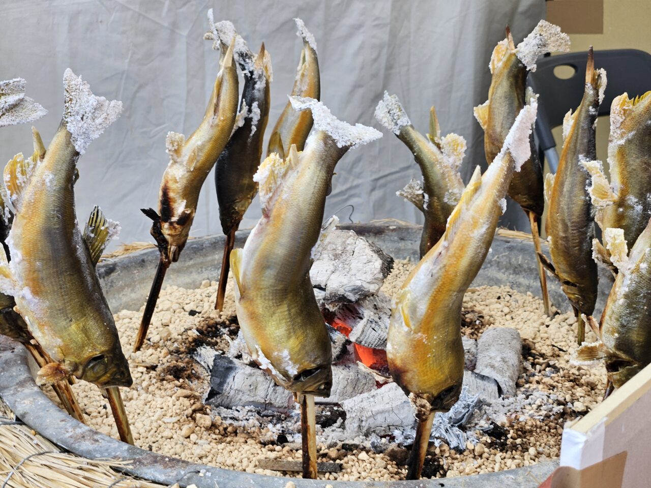 魚ジャパンフェス2026 in お台場が開催予定