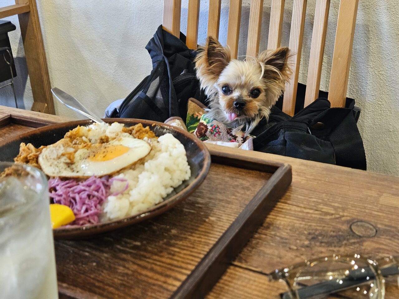 清澄長屋のハタメキでランチ