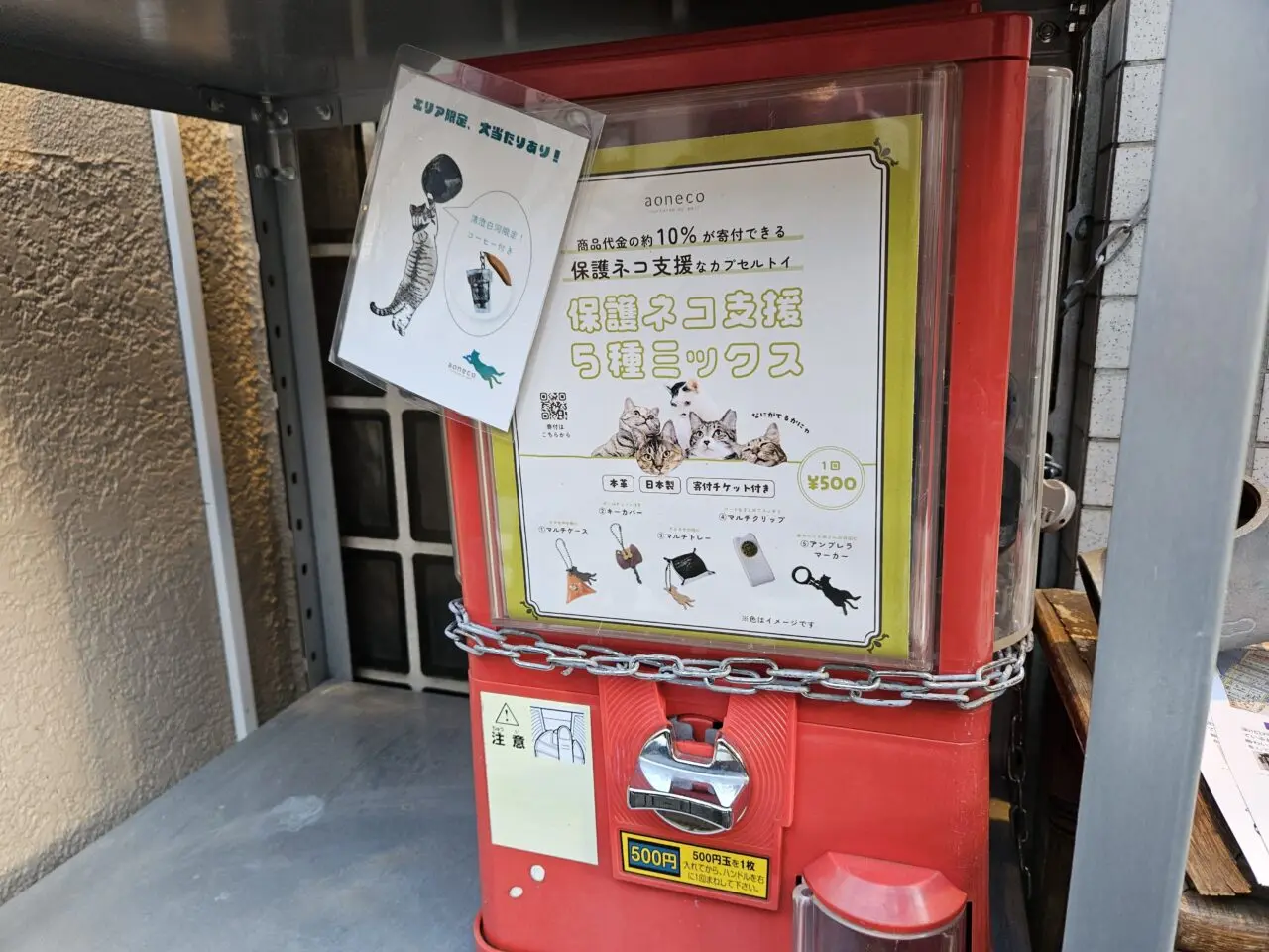 ネコグッズ専門店「ネコシカ」がグランドオープン