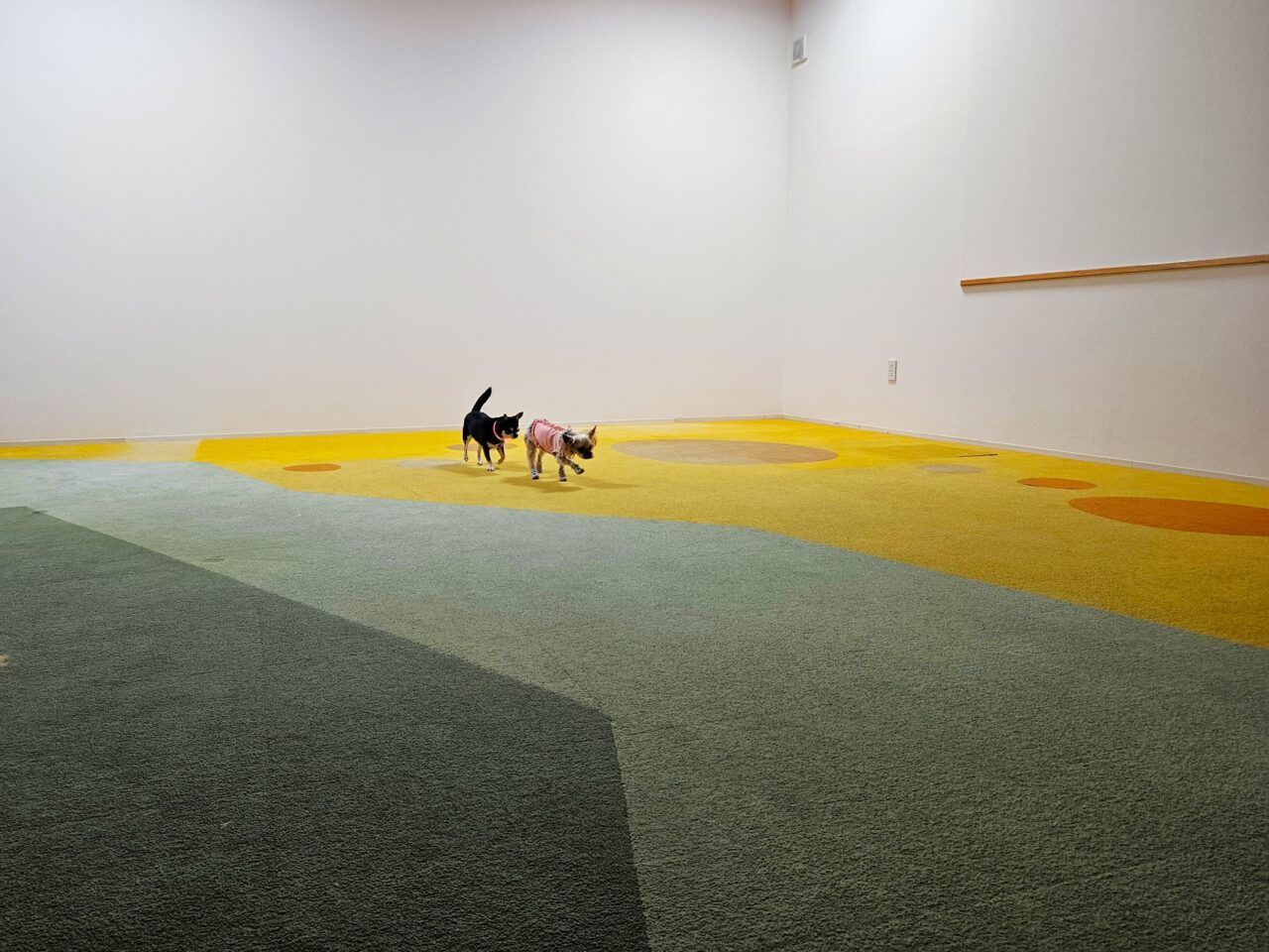 THE DOG PARK TOYOSUがオープン