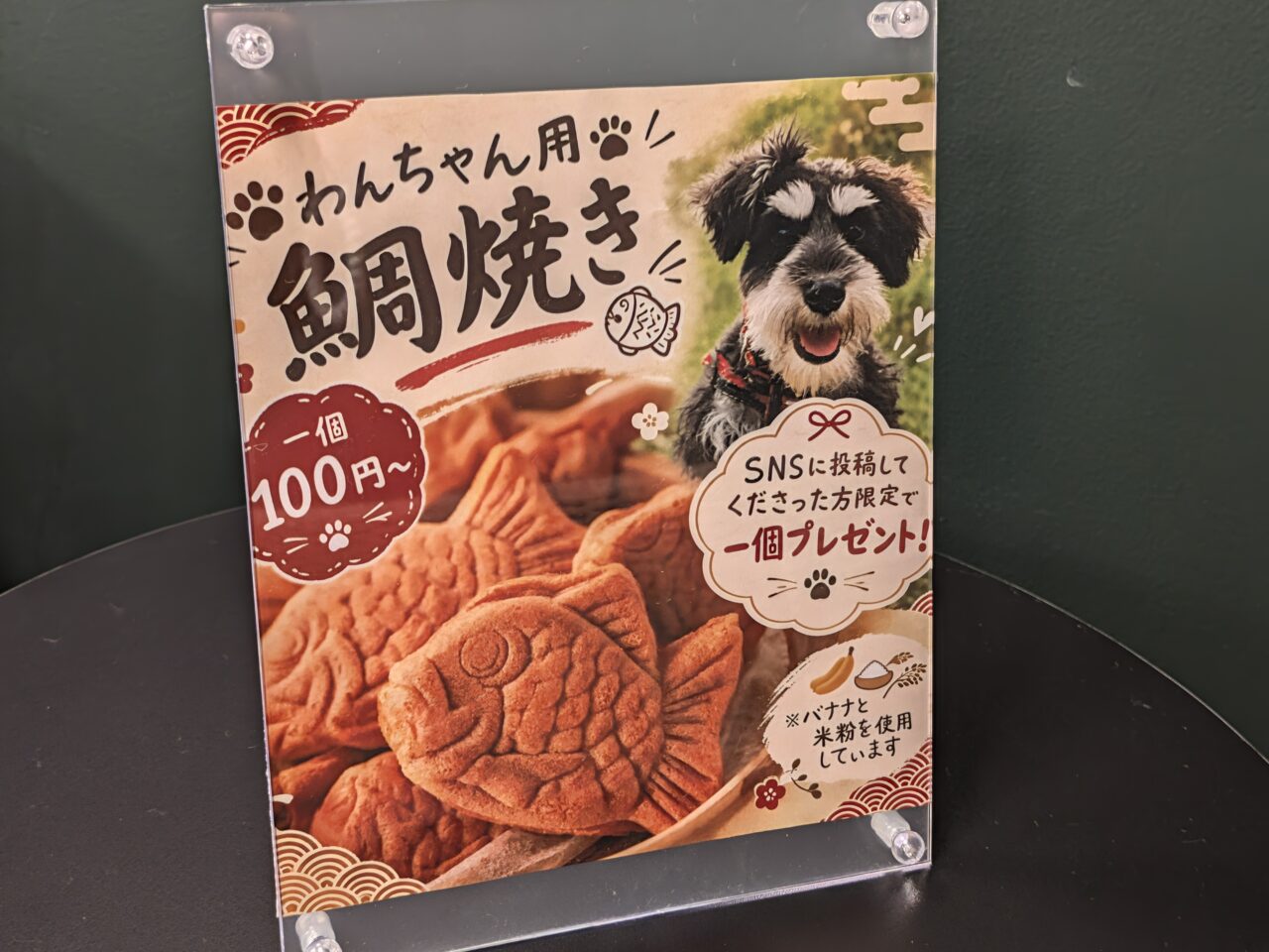 MATCHA TIMES豊洲がオープン