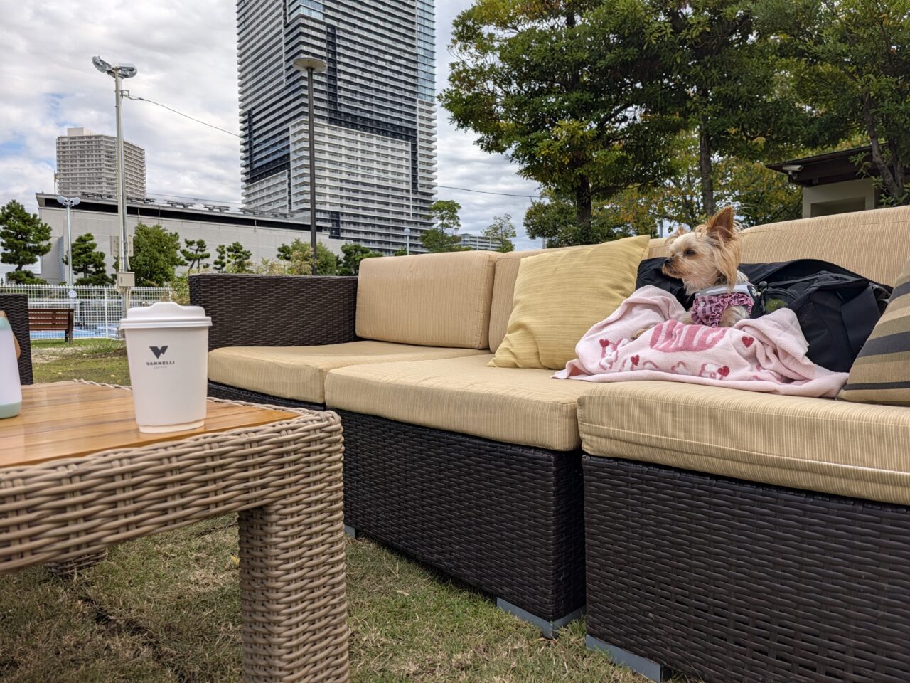 「Vannelli Coffee」が、THE DOG PARK TOYOSUにオープン