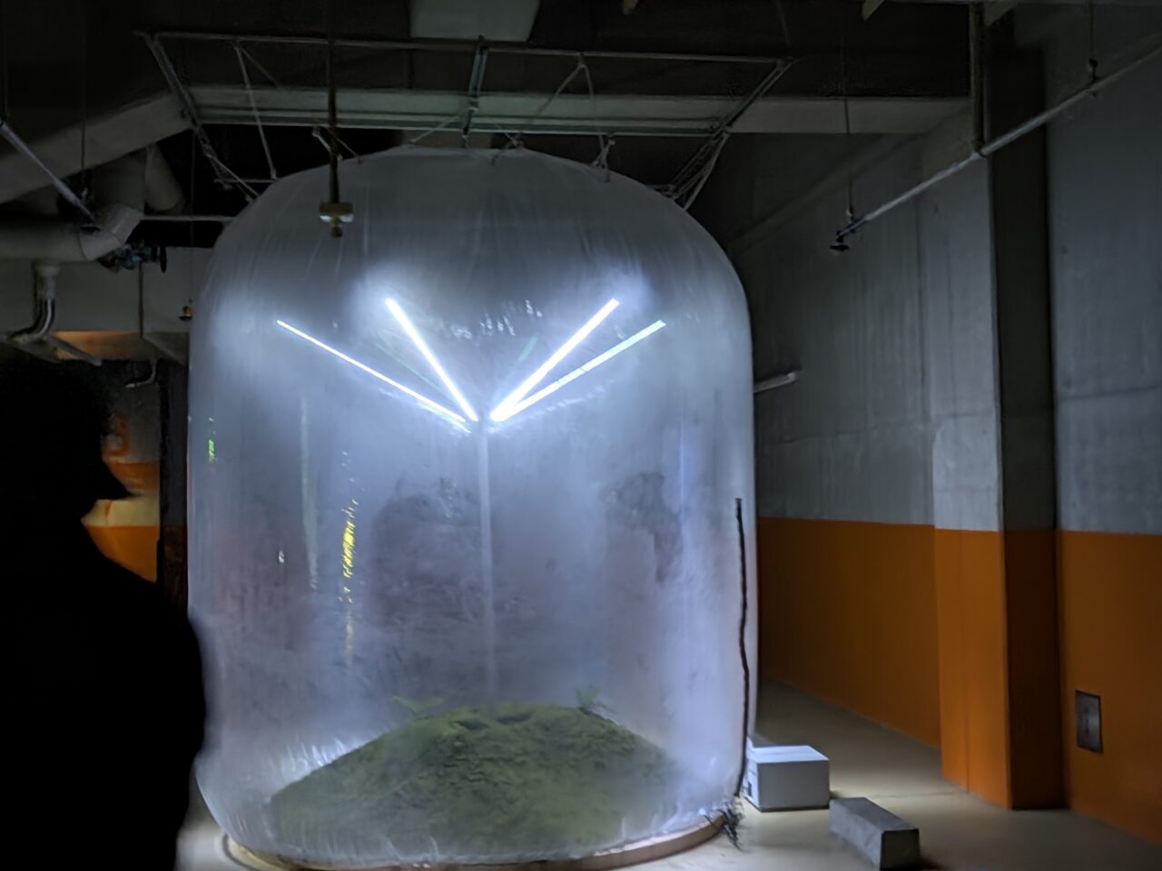 国際美術展 TOKYO ATLASが開幕